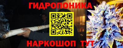 эйфоретик Донской