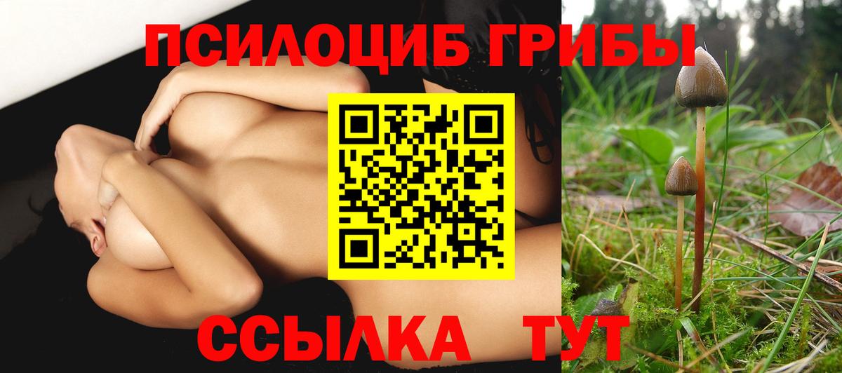 Псилоцибиновые грибы ЛСД Заречный